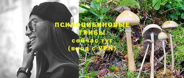 прущая мука Беломорск