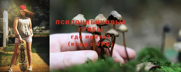 соль курить ск Белокуриха